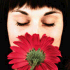 surfa_Sair's Avatar